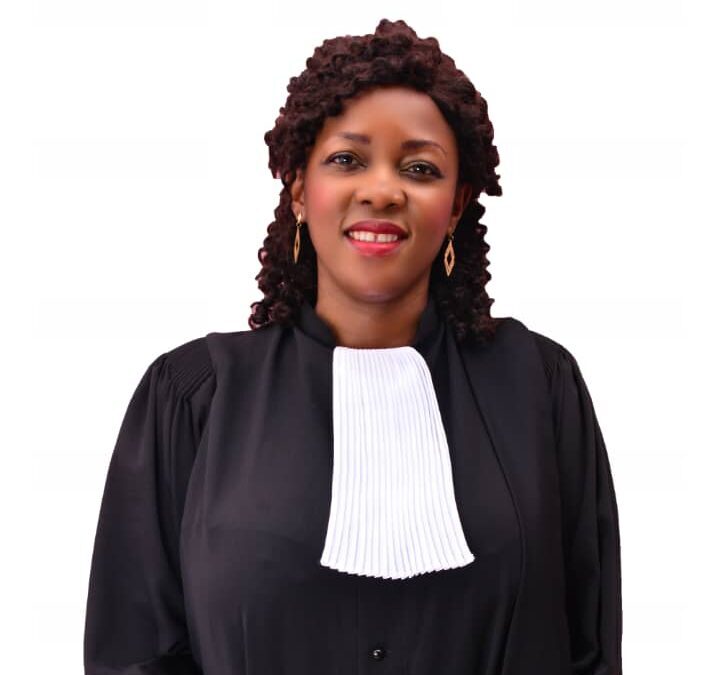 whatsapp image 2026 02 12 at 13.53.40